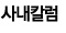 사내칼럼