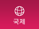 국제