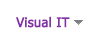 비주얼IT