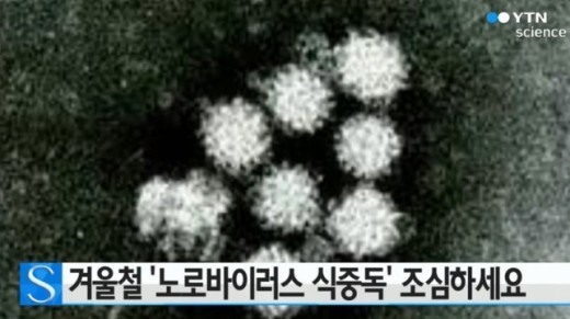 노로바이러스 증상, 출처:/YTN science