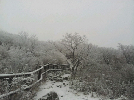 덕유산 / 사진= 덕유산국립공원사무소