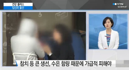 임신 초기 챙겨먹어야할 음식
출처:/ YTN 방송화면 캡처