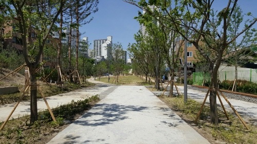 숲길 이미지