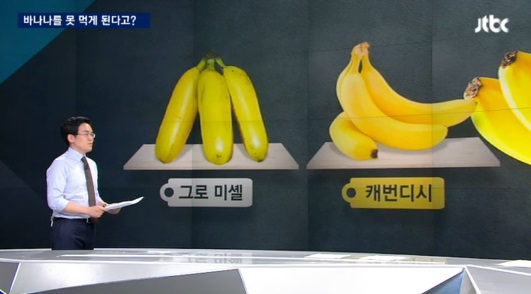 바나나 칼로리
출처:/ JTBC 방송화면 캡처
