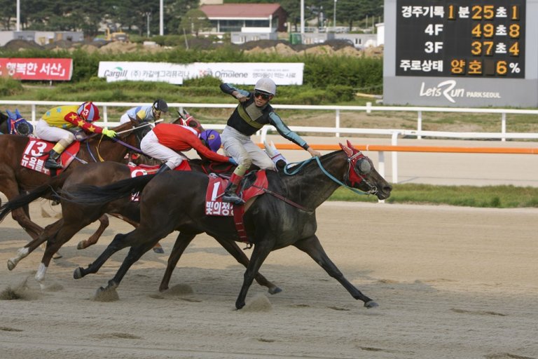 지난해 6월5일 뚝섬배에서 우승을 차지한 조성곤기수와 빛의정상.