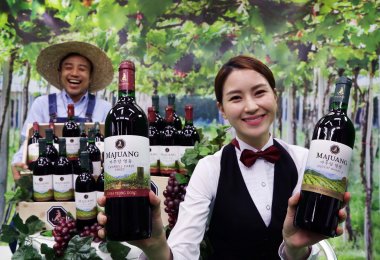 롯데주류가 국내 최장수 와인 브랜드 '마주앙'의 신제품 ‘마주앙 영천’과 ‘마주앙 영동’을 동시에 출시했다. 사진=롯데주류 제공