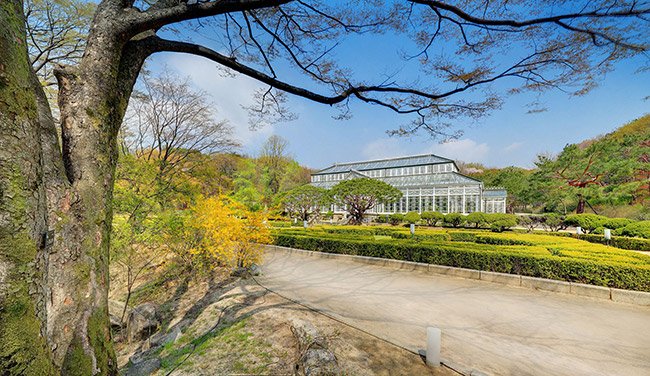 창경궁 대온실 봄 전경(창경궁 관리소 제공)