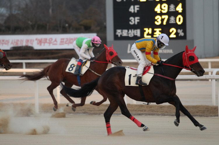 클린업천하