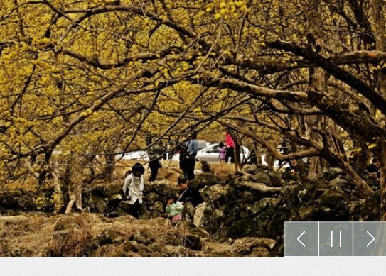 사진=한국관광공사 대한민국 구석구석 홈페이지 캡처