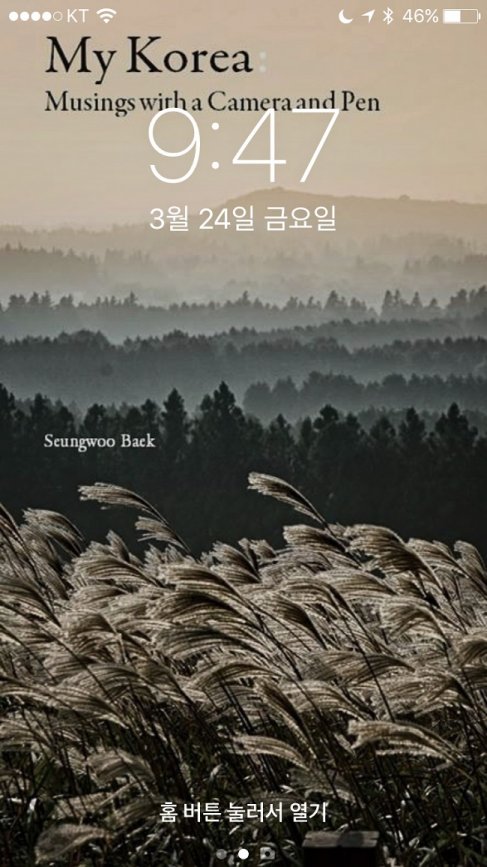 스마트폰 홈 버튼을 눌렀을 때 스마트 폰 화면