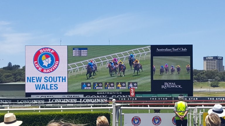 호주 Royal Randwick 경마장 모습