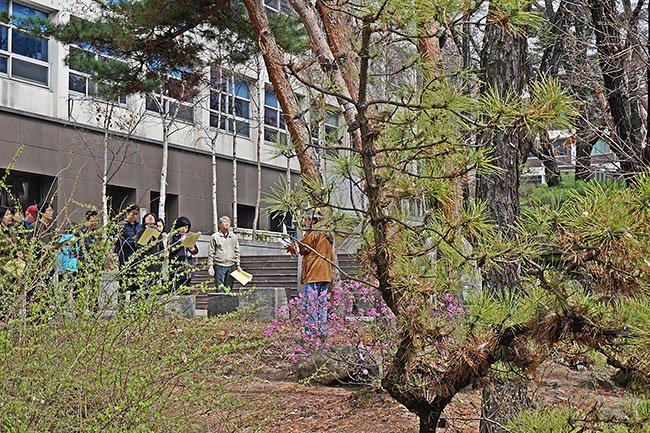 캠퍼스가 들려주는 식물이야기(서울대학교 교정)