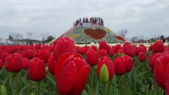 사진=한국관광공사 대한민국 구석구석 홈페이지 캡처