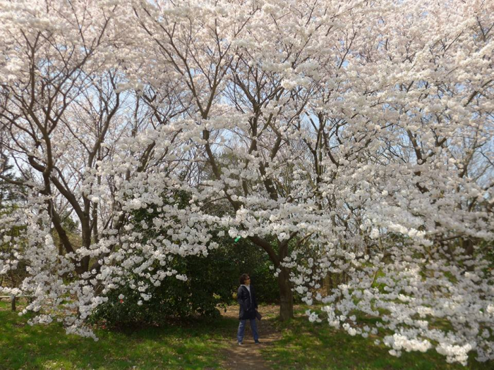 사카타습지공원