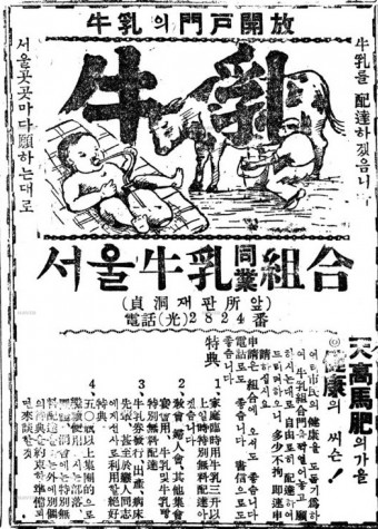 현 서울우유협동조합의 전신인 `서울우유동업조합`의 1949년 10월 7일자 경향신문 광고. 사진=네이버 뉴스라이브러리 경향신문 캡처