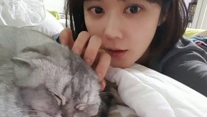 기사 섬네일