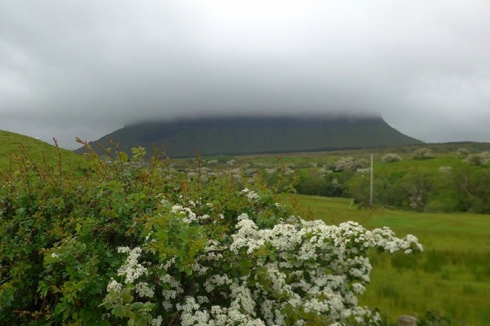 Benbulbin