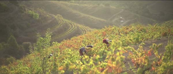 ‘와인의 땅, 프리오라트’ 스틸사진. 사진=EBS국제다큐영화제 제공