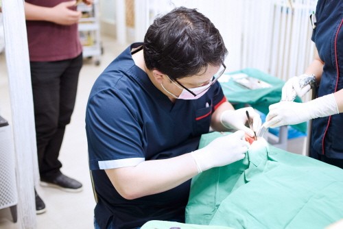 충치치료, 자연치아 회복에 초점 맞춘 진료가 중요