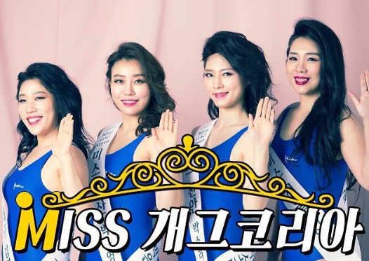 사자코리아 이미지