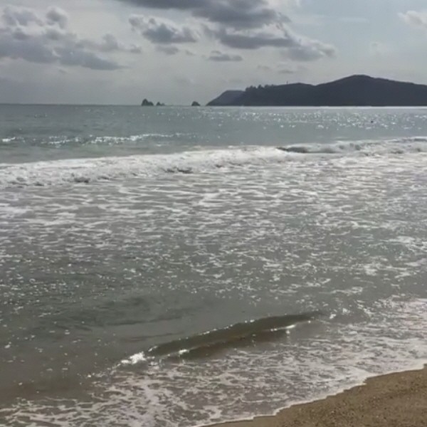 “가득 가득 담고 가야지”(파도치는 바다를 찍은 동영상 캡처). 사진=서은수 인스타그램