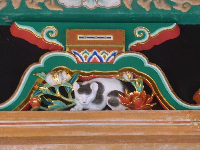 잠자는 고양이