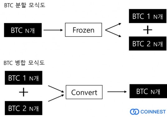 비트코인 분할 모식도