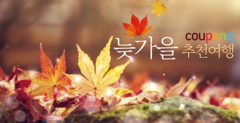 소셜커머스 '쿠팡'이 늦가을 정취를 만끽하며 지인들과 추억을 나눌 수 있는 다양한 여행상품들을 저렴한 가격에 선보이는 기획전을 동시에 벌인다. 사진=쿠팡 제공