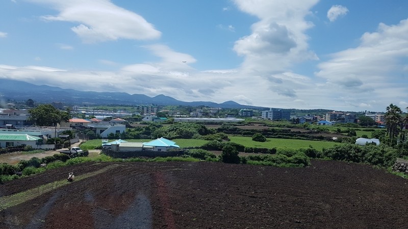 제주도의 일반적인 전경, 많은 숙박용 건축물들이 한눈에 보인다.