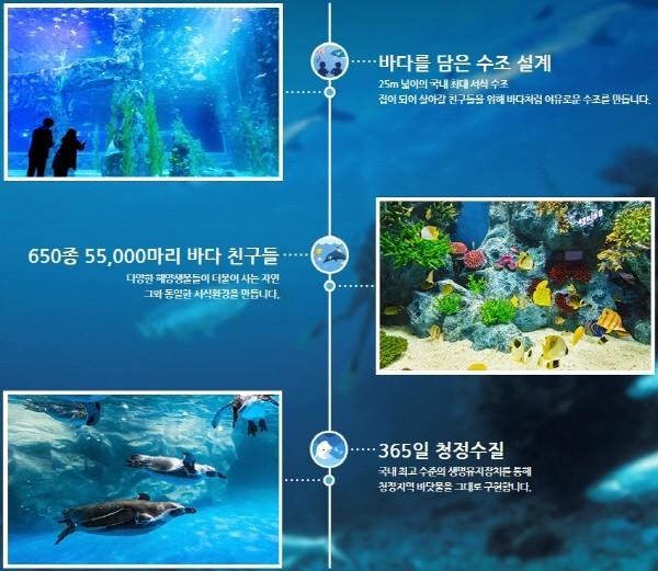 쥬엔터테인먼트 이미지