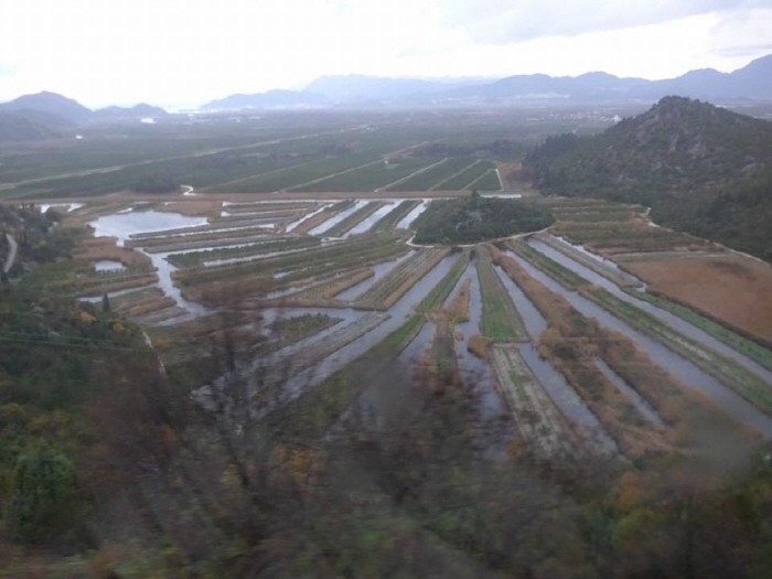 수로를 이용한 과수원