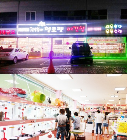 정읍·군산·익산 지역 최대 규모 강아지분양 애견숍인 전주 '헬로펫'은 한 곳에서 평생을 함께할 반려견의 분양, 미용, 애견용품 구입, 호텔링 등 서비스를 다양하게 받을 수 있어 화제가 되고 있다. 사진=헬로펫 제공
