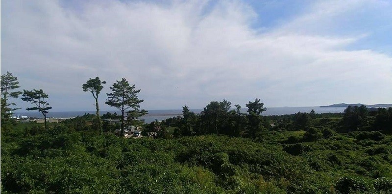 대지에서 바라본 남쪽전경