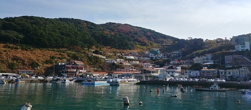도장포마을의 전경