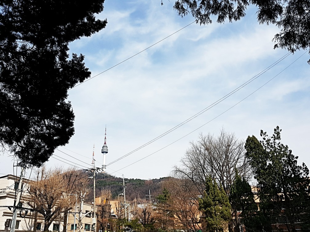 계절의 여유로움이 생기면 가장 눈에 띄는 곳이 남산