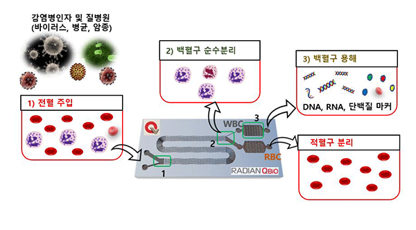 라디안큐바이오, ‘백혈구 분리 및 용해기술’ 미국에서 인정 받아