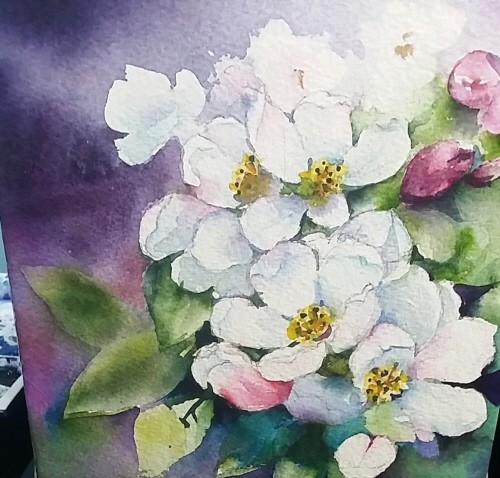 ‘Blooms 2, 18.0×18.0cm, Watercolor on paper’. 사진=홍수경 제공