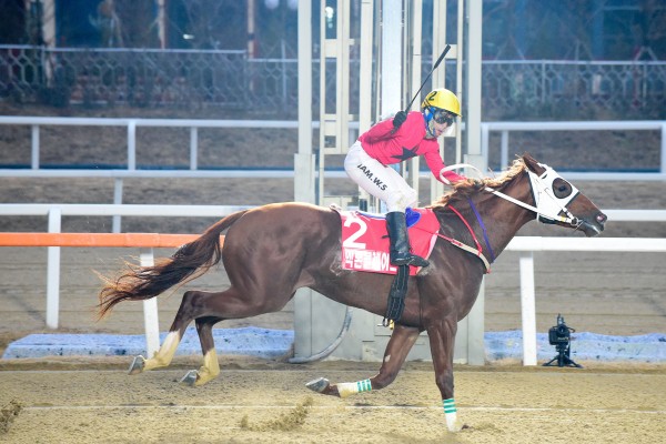 2017년12월03일 브리더스컵 함완식 엑톤블레이드