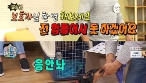 기사 섬네일