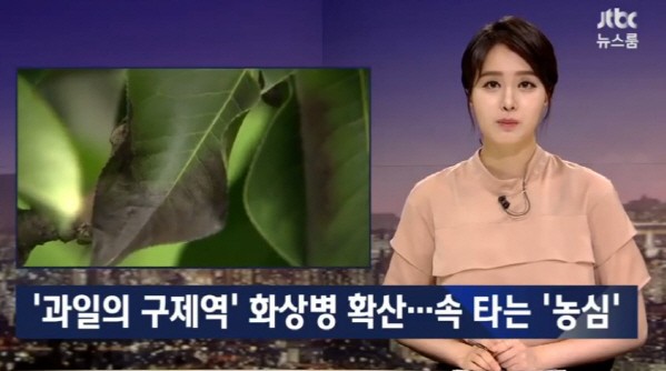 사진=JTBC 뉴스룸