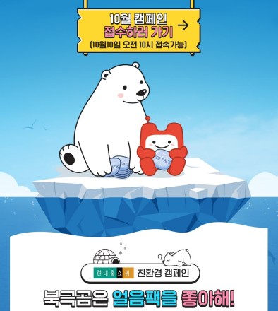 현대홈쇼핑이 분리수거에서도 제외되는 아이스팩을 무료로 직접 수거해 식품 협력업체에 무상 제공하는 자원 재순환 캠페인인 ‘북극곰은 얼음팩을 좋아해’을 정례화하기로 했다. 사진=현대홈쇼핑 제공