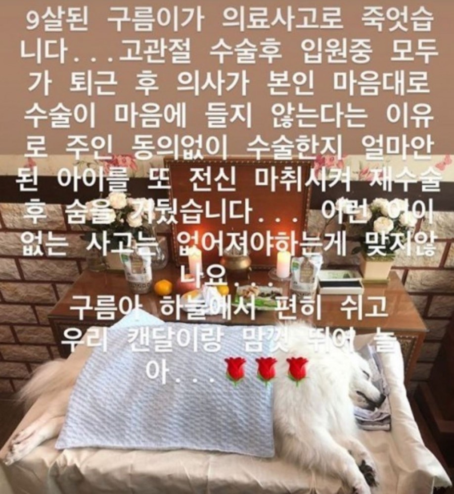 사진=도끼 SNS