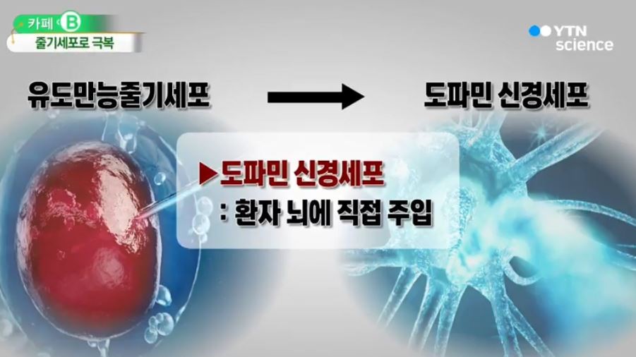 사진 = YTN 사이언스
