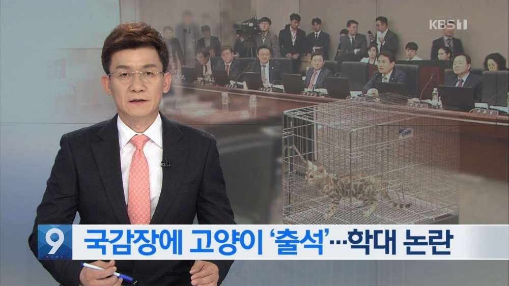 '국감 스타' 노린 의원들, 보여주기식 질의 쏟아져 "역풍"