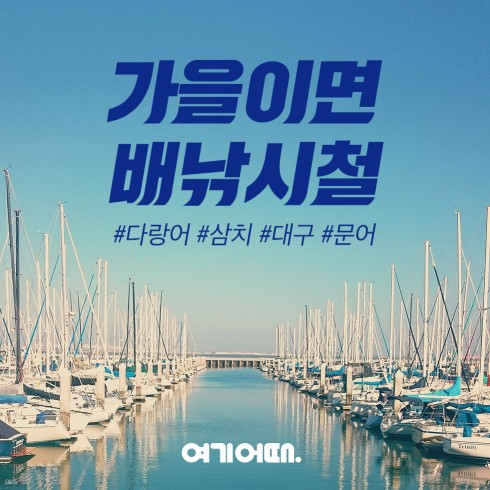 여기어때 액티비티가 낚시 성수기 가을을 맞아 ‘전국 배낚시 상품’ 라인업을 신규 공개했다. 사진=여기어때 제공
