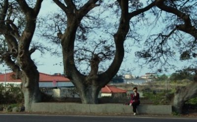 [ET-ENT 영화] 서울독립영화제2018(19) ‘어멍’(감독 고훈) 제주도에 대한 감독의 애정이 묻어나는 작품