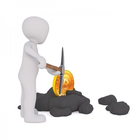완벽한 사기극 vs 신경제의 초석, 본질부터 따져보자