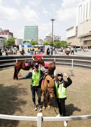 한국마사회, 도심승마체험은 성황 중