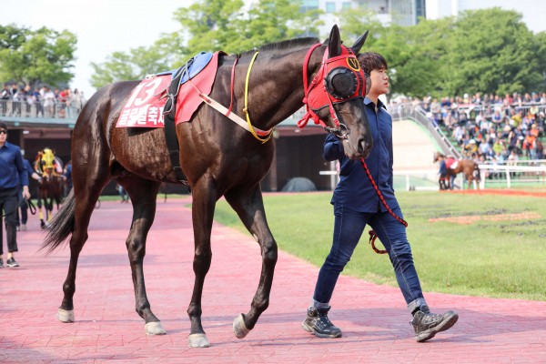 글로벌축제