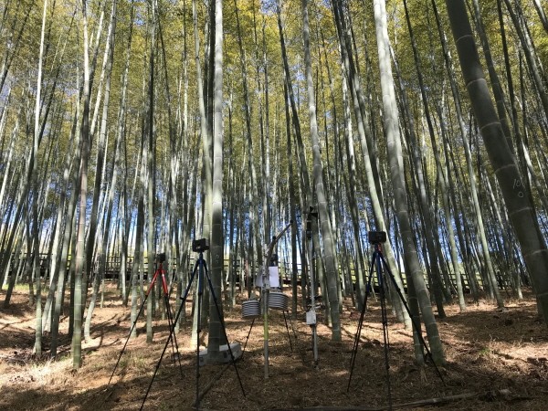 사진=산림바이오소재 연구소 제공